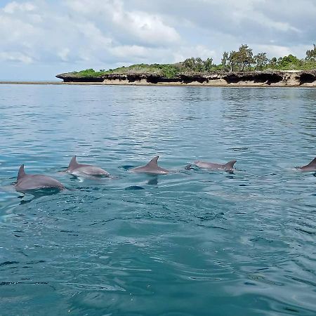 Wasini Raha Snorkeling And Diving Apartamento Exterior foto