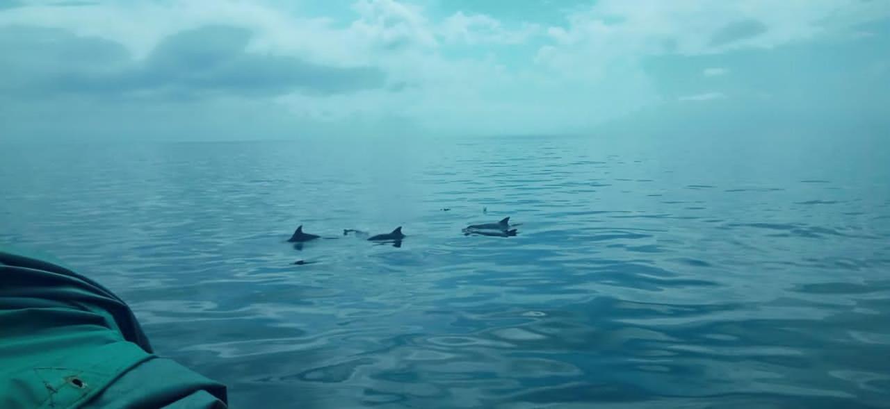 Wasini Raha Snorkeling And Diving Apartamento Exterior foto